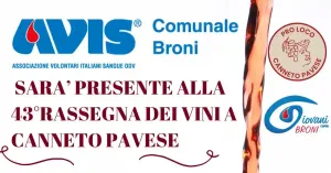 43ma rassegna dei vini a Canneto Pavese - Immagine: 1