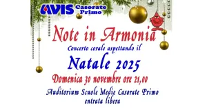 Note in armonia - Aspettando il Natale 2025 | AVIS Casorate Primo - Immagine: 1