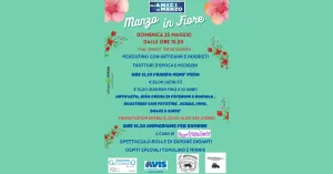 Manzo in fiore - AVIS Santa Giuletta - Immagine: 3